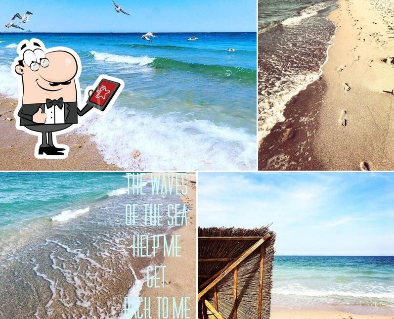 The Beach