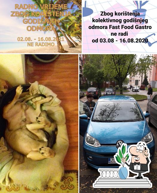 Gli esterni di Fast Food Gastro