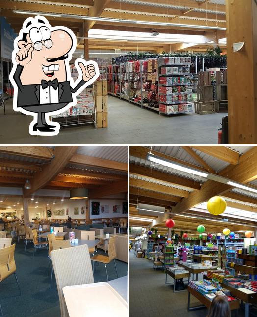 Garden Centre Lisburn Dobbs Fasci Garden