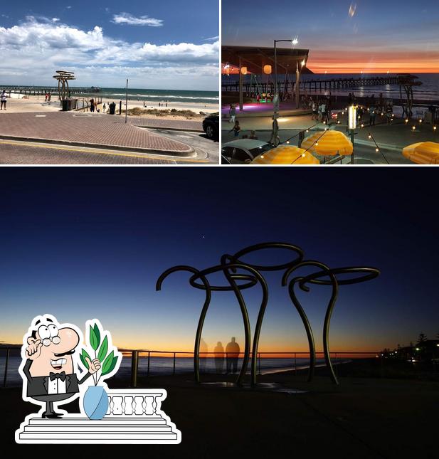 SeaSalt Society in Henley Beach Restaurant menu and reviews