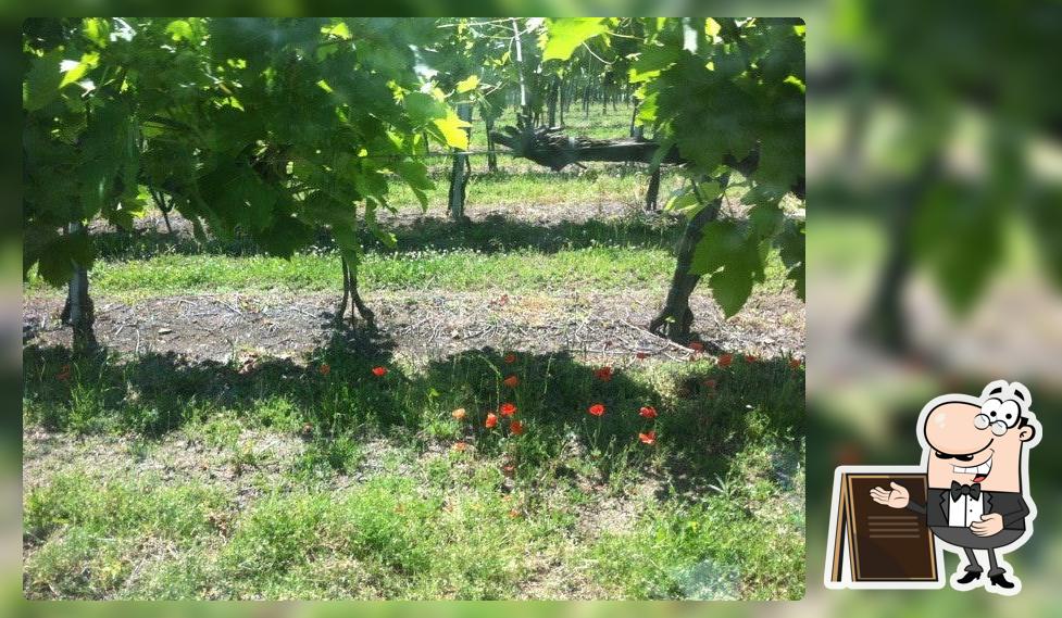 VITEA di Faravelli Antonio