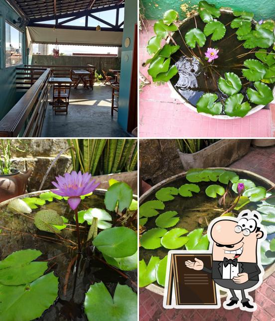 Mandir Restaurante Vegano