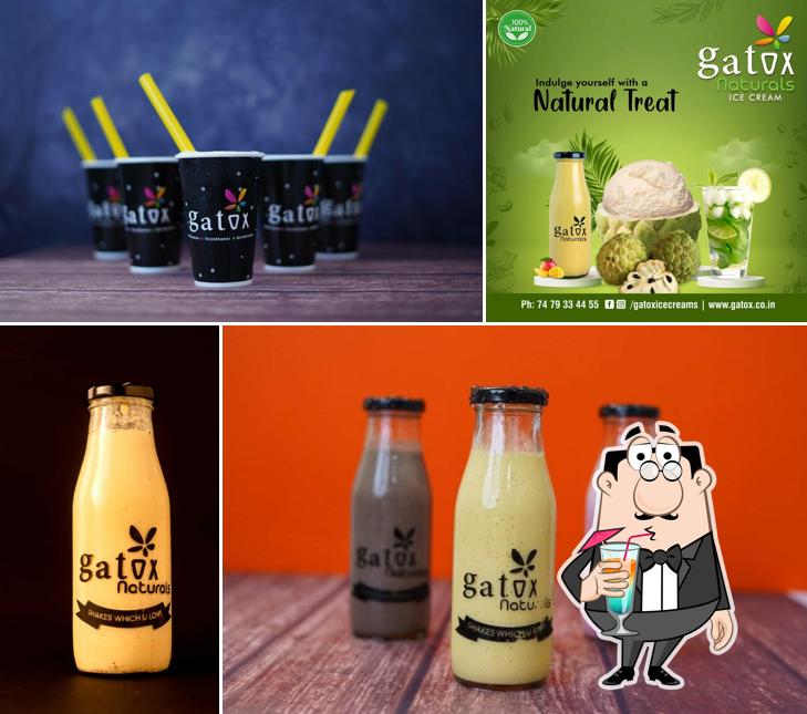 Gatox Naturals - Natural Icecreams