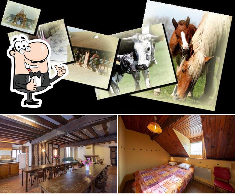 Voir cette image de Gites Auberge Loiret: l'Auberge Ferme du Tranchoir