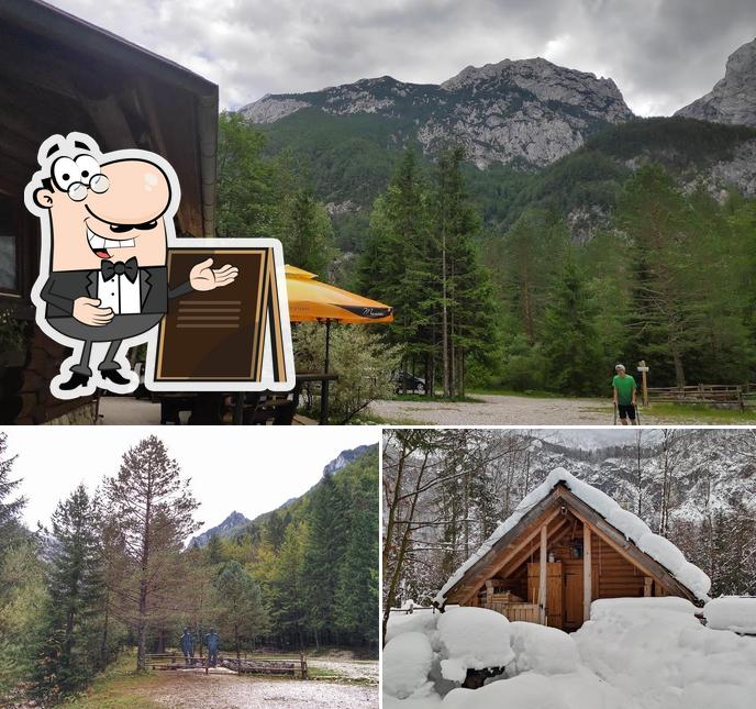 Guarda gli esterni di Dom Planincev Logarska dolina