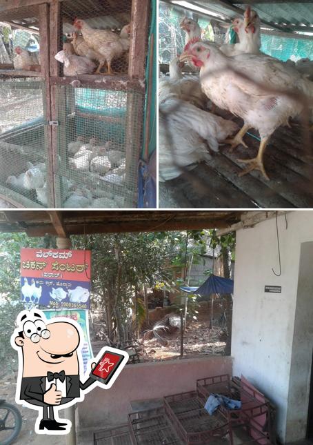 Welcome chicken centre