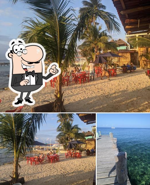 The Monkey Beach restaurant, San Miguel de Cozumel - Restaurant reviews