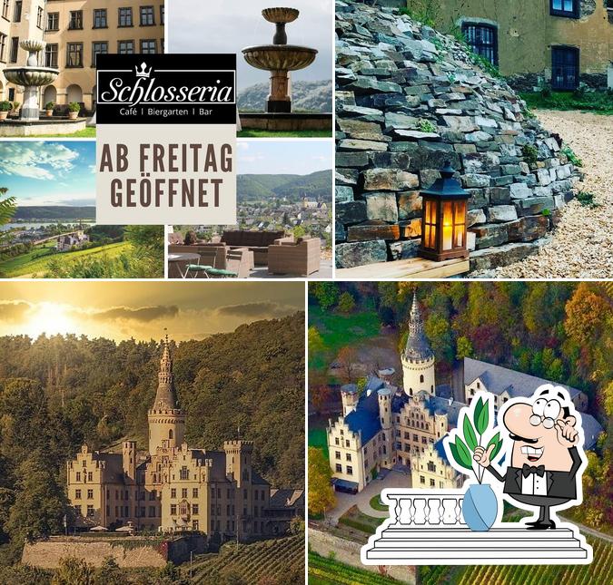 Genusskontor Schloss Arenfels