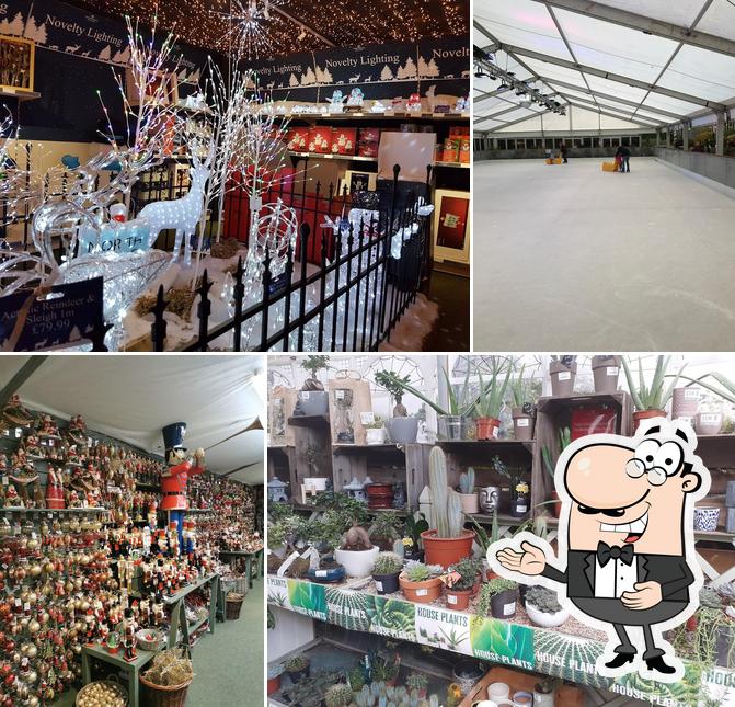 Whitehall Garden Centre, Corsham Rd in Chippenham Restaurant menu and