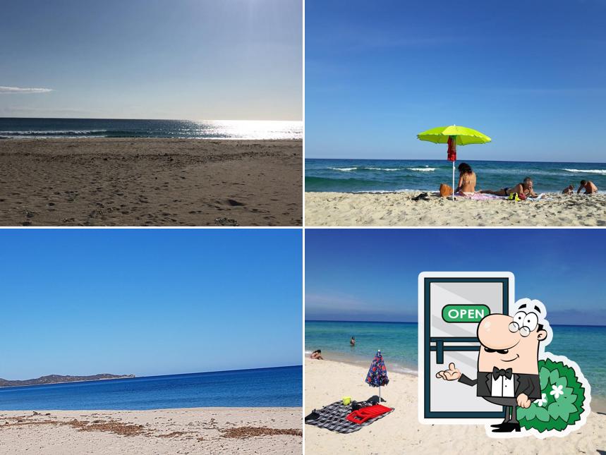 Chiosco Ginepro Beach