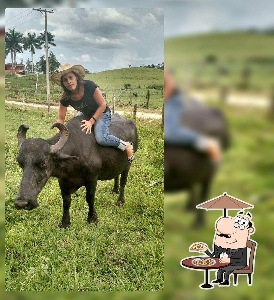 Parada da Búfala Sete Barras SP