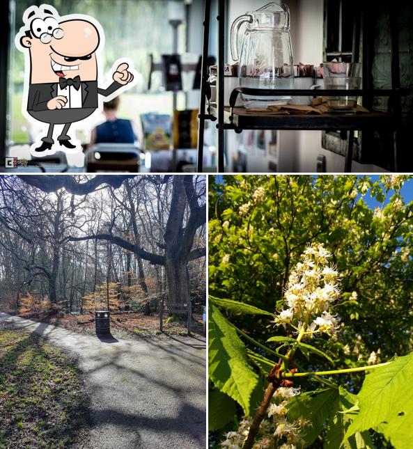 Cassiobury Park Hub & Daisy’s In The Park in Watford Restaurant reviews