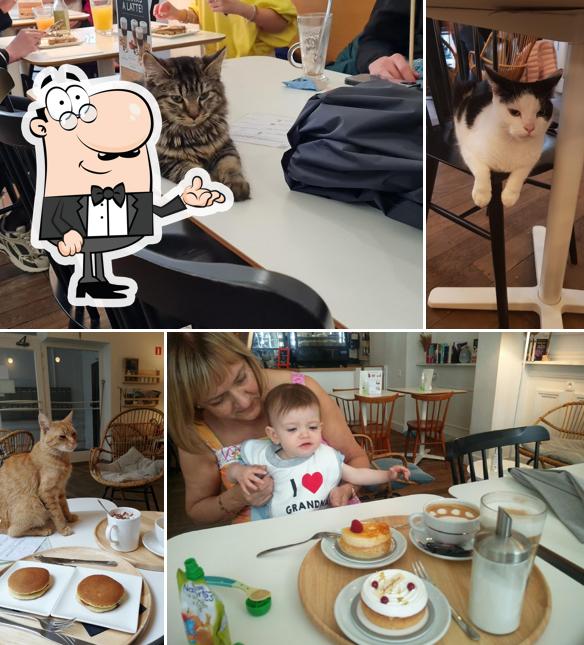 Installez-vous à l'une des tables de Merlix Cats Café