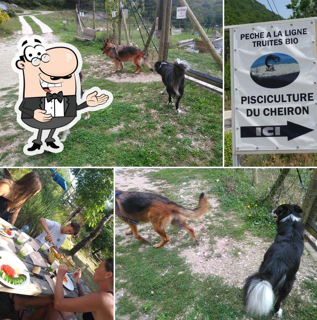 Pisciculture du Cheiron
