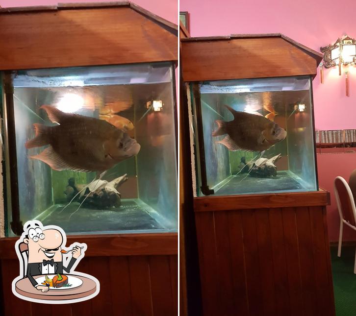 Anne's Chinese & Vietnamese Restaurant, 2/78 Campbell St in Moruya