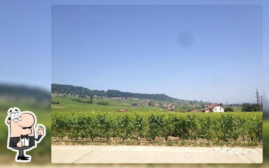 Tartegnin