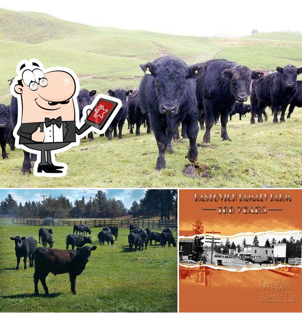 Oregon Steak in Bend Restaurant menu and reviews