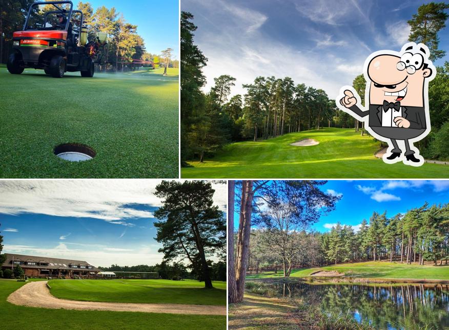 Pine Ridge Golf Club in Camberley Restaurant reviews