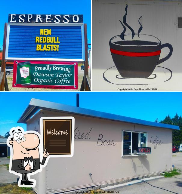 Wired Bean in Horseshoe Bend Restaurant reviews