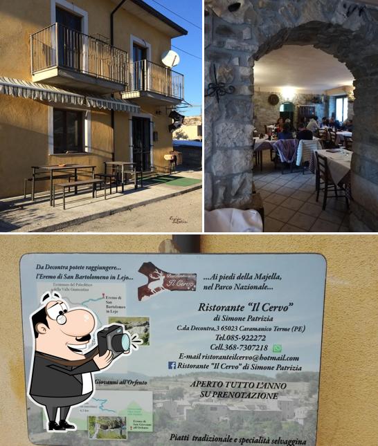 Voici une image de Ristorante Il Cervo