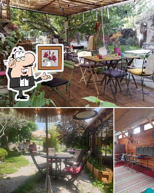 Découvrez l'intérieur de Aux 2 Moiselles - Restaurant dans un jardin