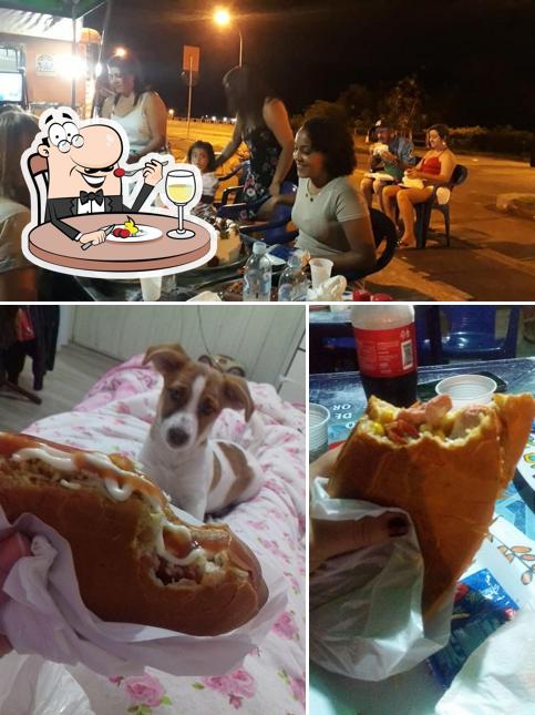 Comida em 100% Dog