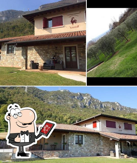 Agriturismo Il Gallo