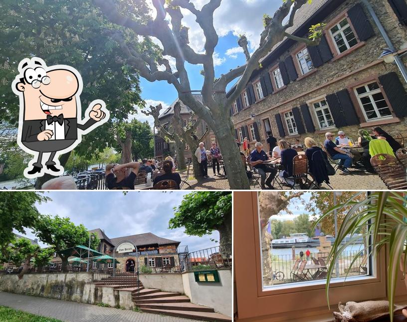 Zum Hirsch restaurant, Flörsheim am Main - Critiques de restaurant