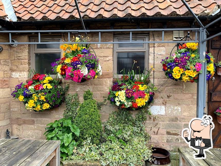 The Greendale Oak in Warsop Restaurant menu and reviews