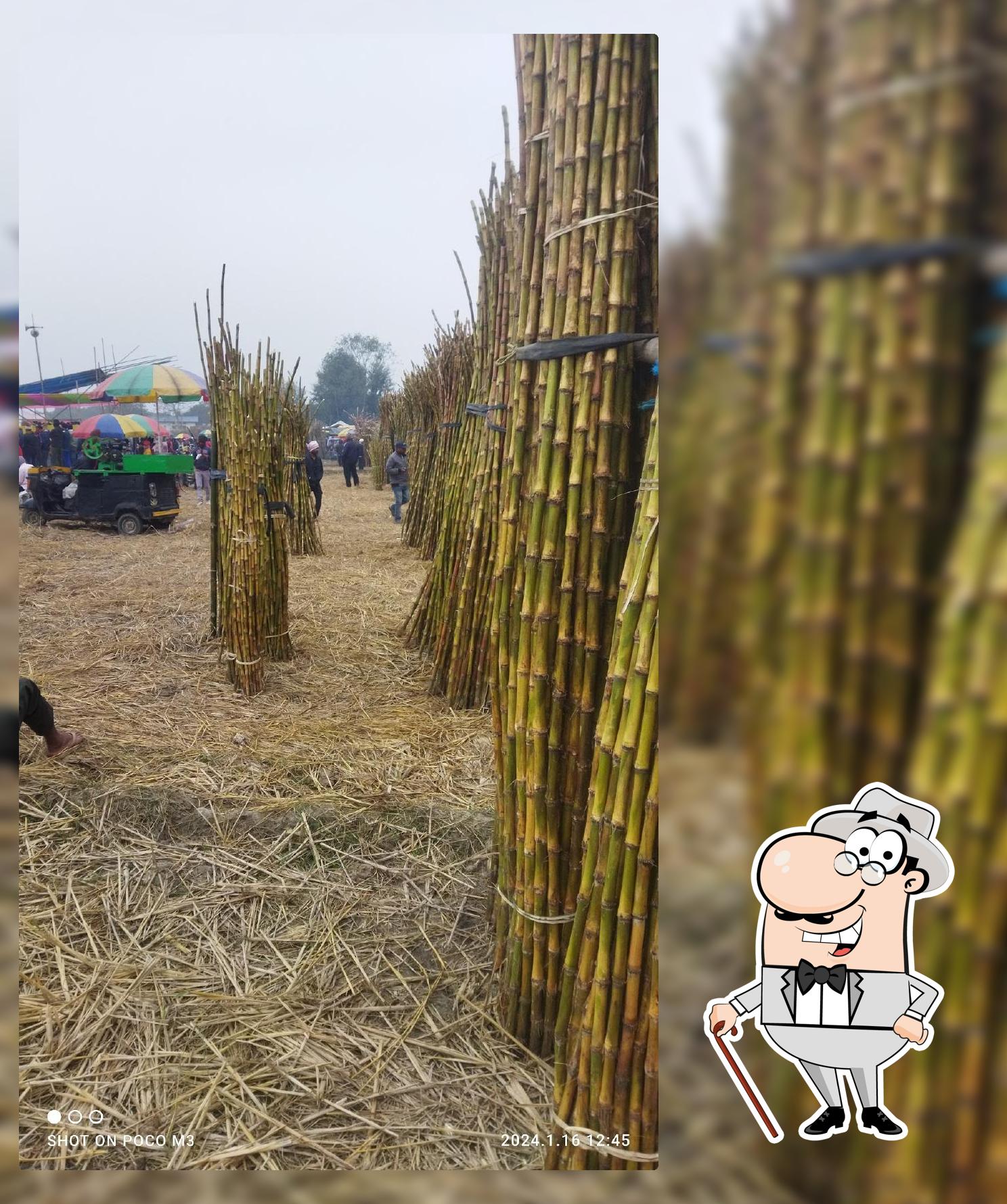 Kashmiri Resort And Restaurant