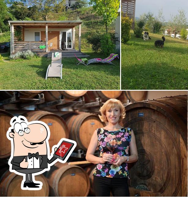 L'extérieur de Saksida, wine & camping resort