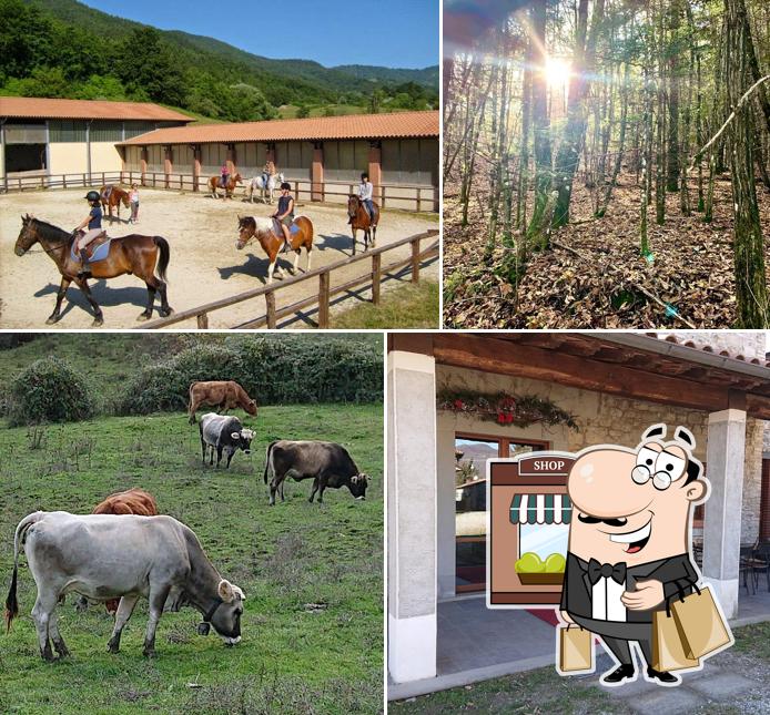 Agriturismo Fattoria Sant'Apollinare, Sant'Apollinare Recensioni del