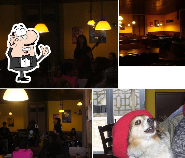 Bar Birreria 2012
