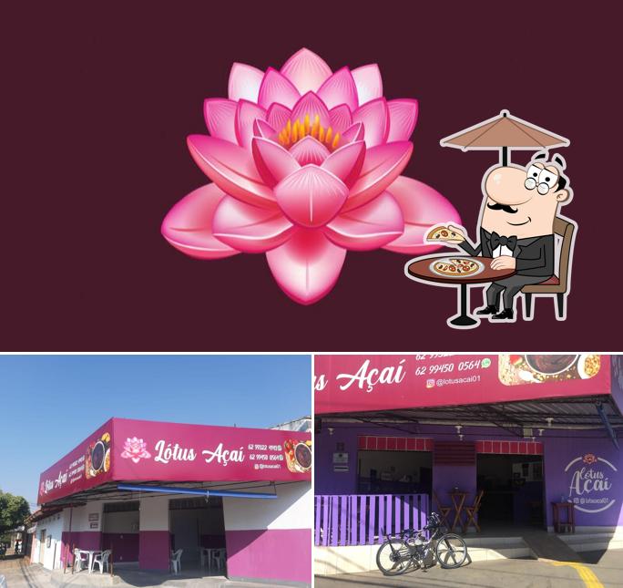 LÓTUS AÇAÍ