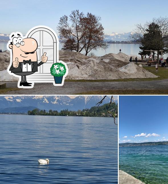Horn, Richterswil