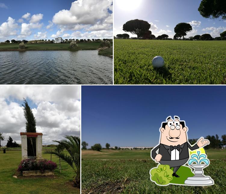 Encuentra el mejor sitio para comer en Puerto Real, otoño 2024