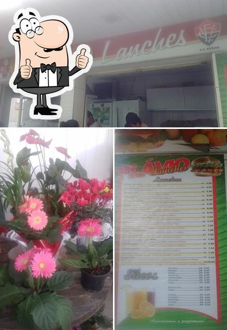 Flavio Lanches