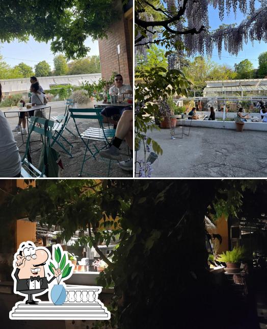 Gli esterni di Botanical Bar