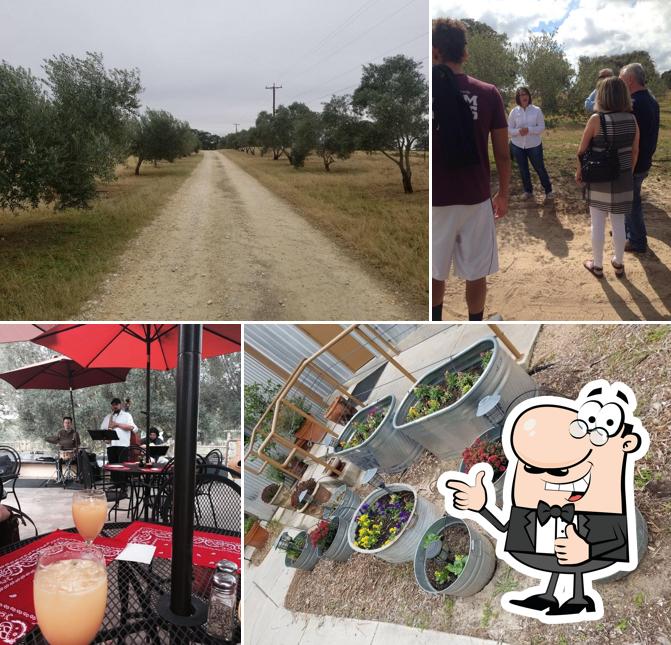 Sandy Oaks Olive Orchard in San Antonio Restaurant menu and reviews