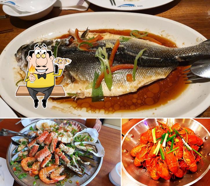 yin seafood restaurant hamburg restaurant menu and reviews