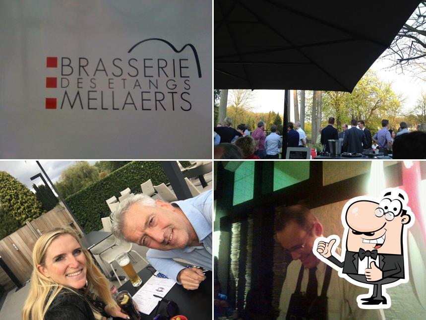 Voici une photo de Brasserie des Étangs Mellaerts