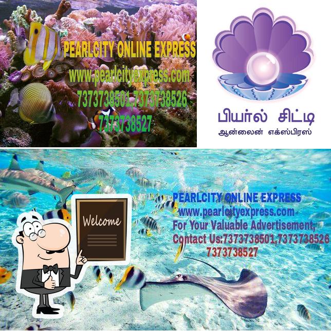 PearlCity Online Express