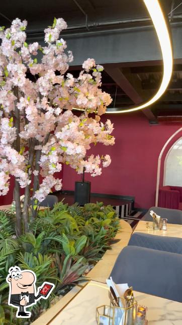 Swirl, Noida Restaurant reviews