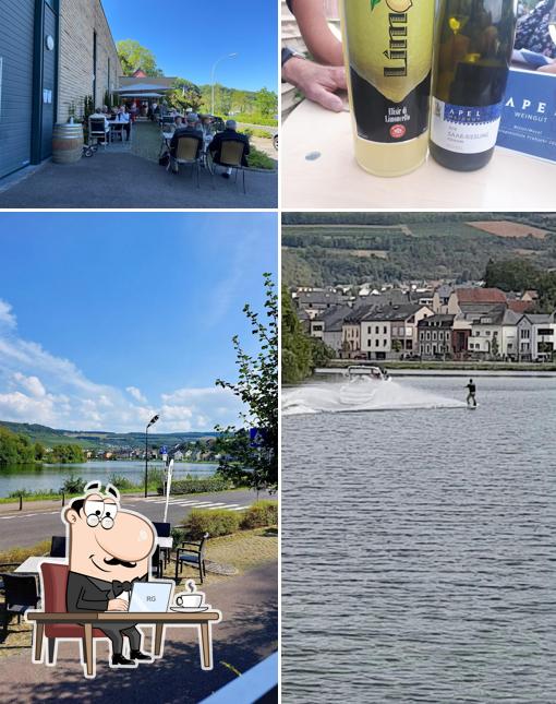 Wäistuff Deisermill - SCHLINK domaine viticole