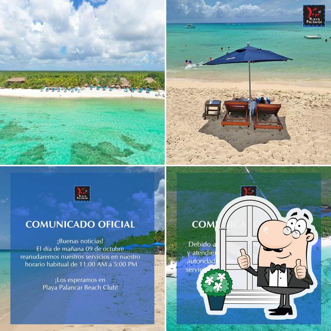 Playa Palancar Cozumel Beach Club, Mexico - Carta del restaurante y  opiniones