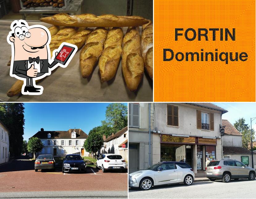 Fortin Dominique