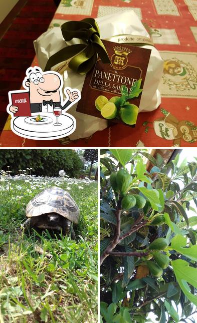 Panificio Pasticceria Marostica Mario