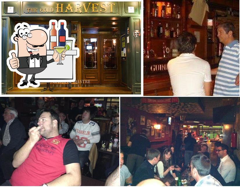 Это изображение паба и бара "Harvest Irish Pub"