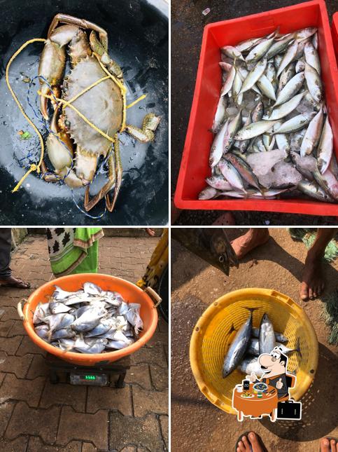 MoM Fisheries