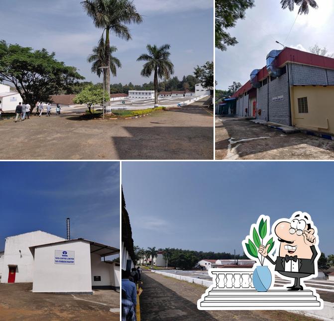 Tata Coffee Ltd